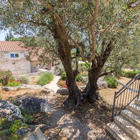 Apartmán Olive Garden Ston Exteriér fotografie