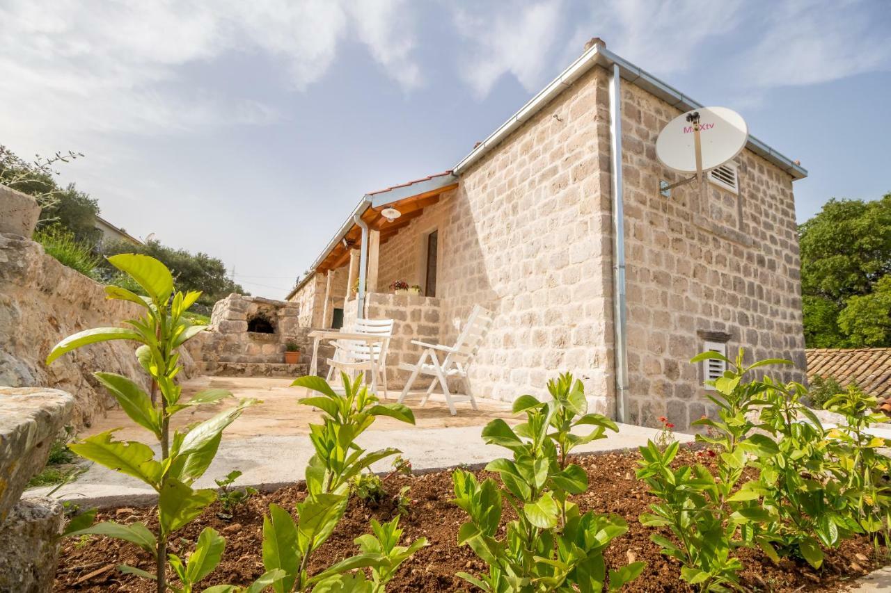 Apartmán Olive Garden Ston Exteriér fotografie