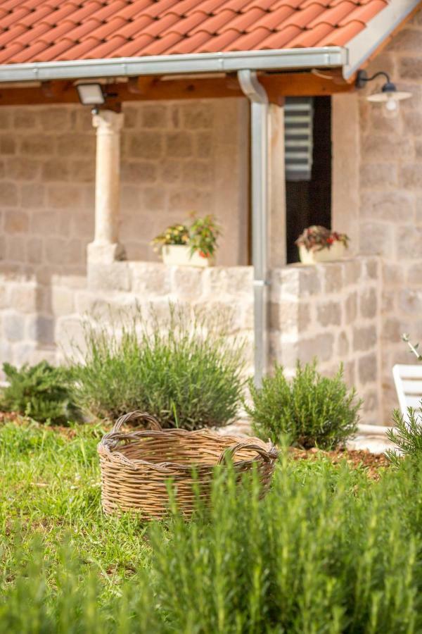 Apartmán Olive Garden Ston Exteriér fotografie