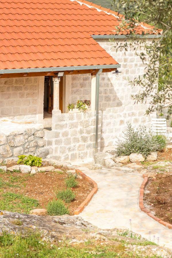 Apartmán Olive Garden Ston Exteriér fotografie