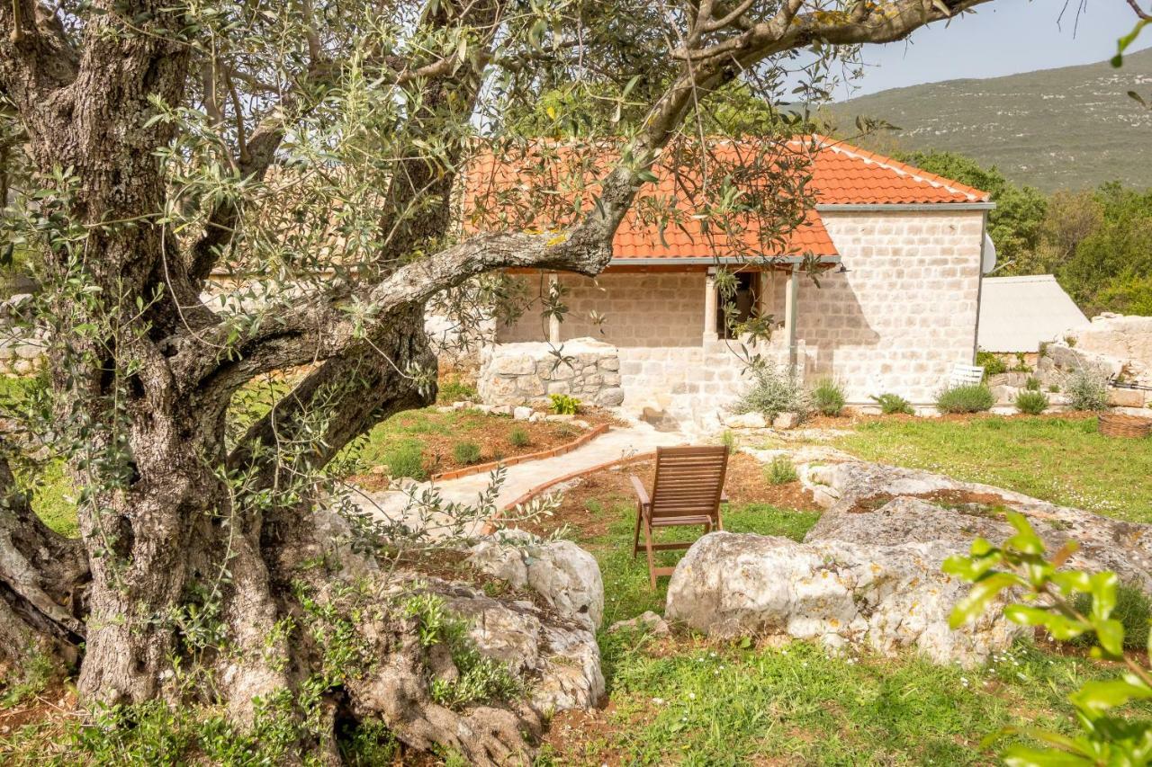 Apartmán Olive Garden Ston Exteriér fotografie